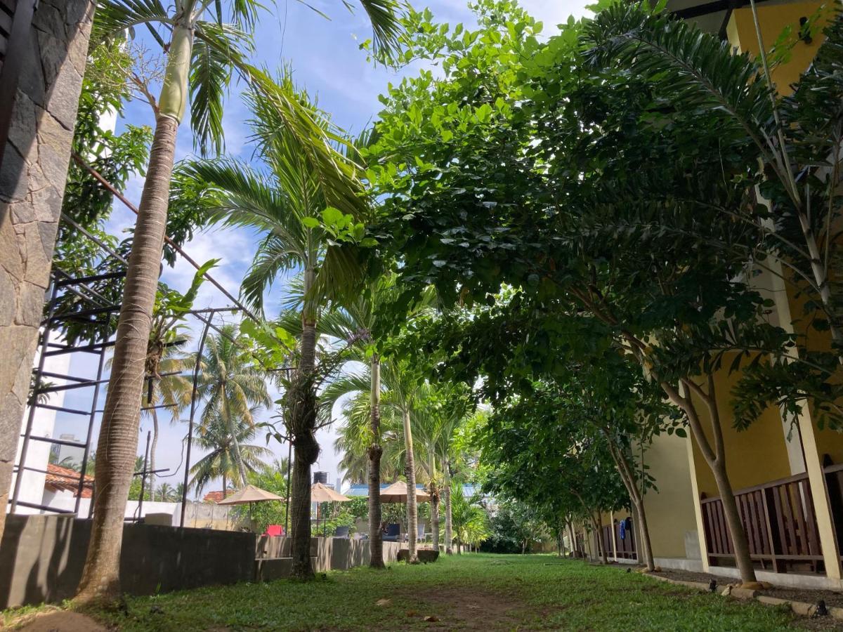 Handagedara Resort & Spa Mirissa Dış mekan fotoğraf