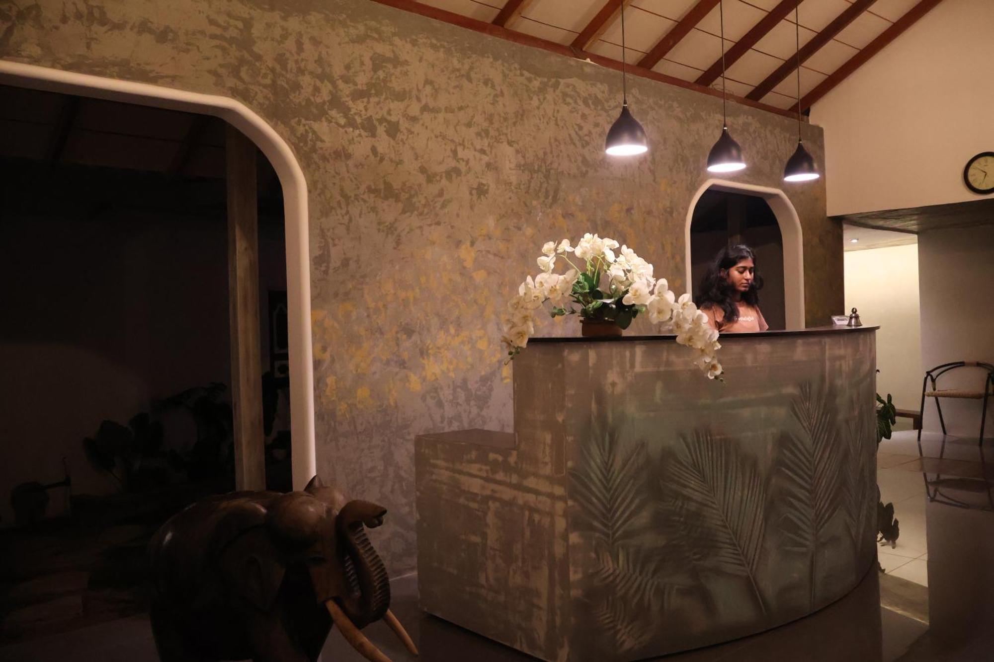 Handagedara Resort & Spa Mirissa Dış mekan fotoğraf